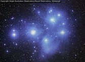 The Pleiades - Who would have thought?